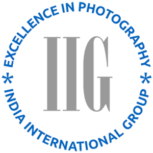 iig logo