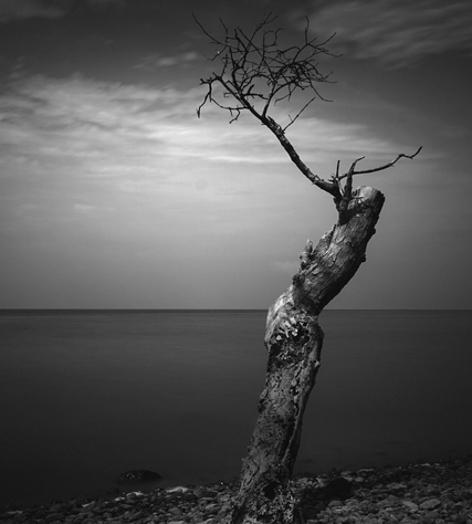 mono2